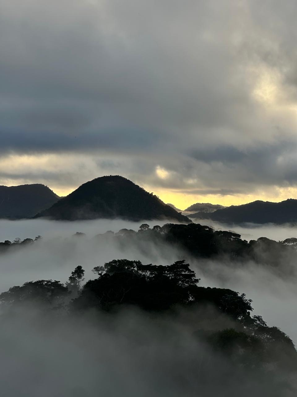 Imagem 6 da propriedade