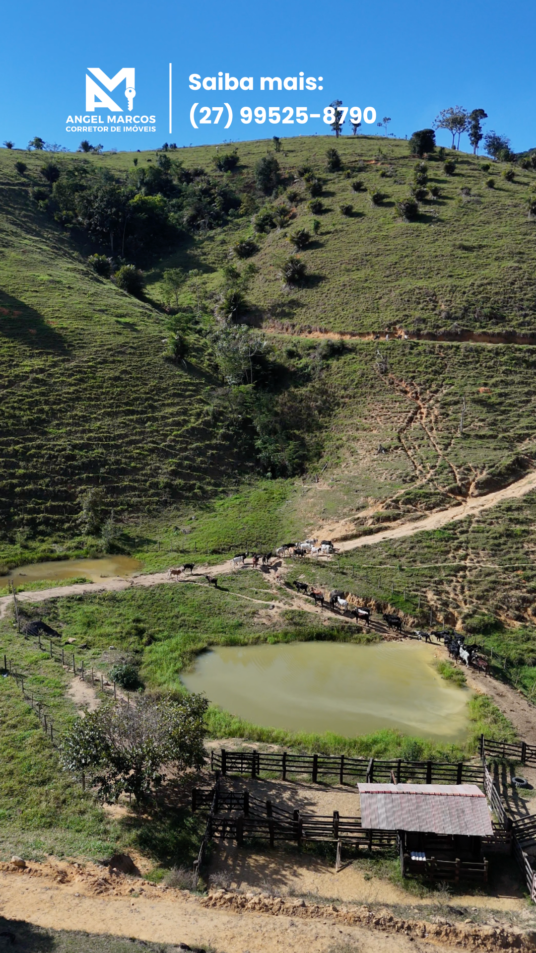 Imagem 8 da propriedade