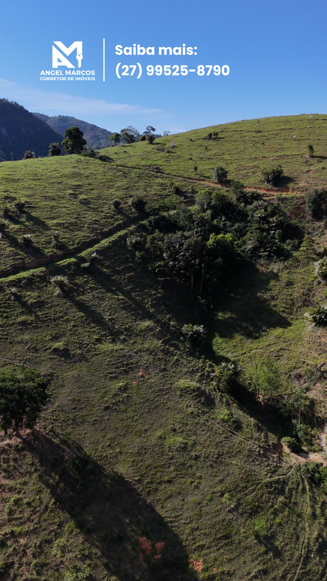 Imagem 9 da propriedade