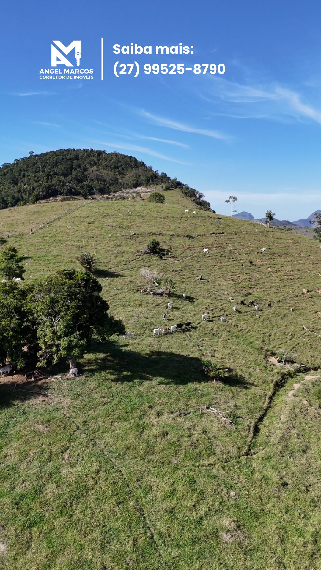 Imagem 11 da propriedade