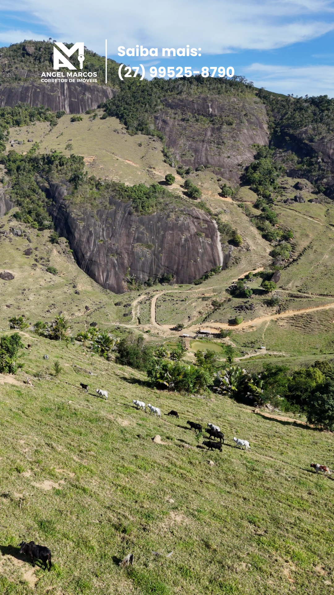 Imagem 12 da propriedade