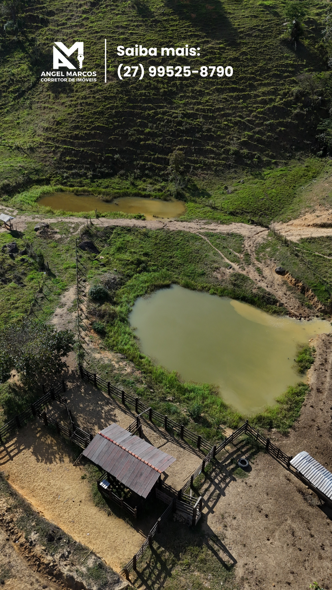 Imagem 14 da propriedade