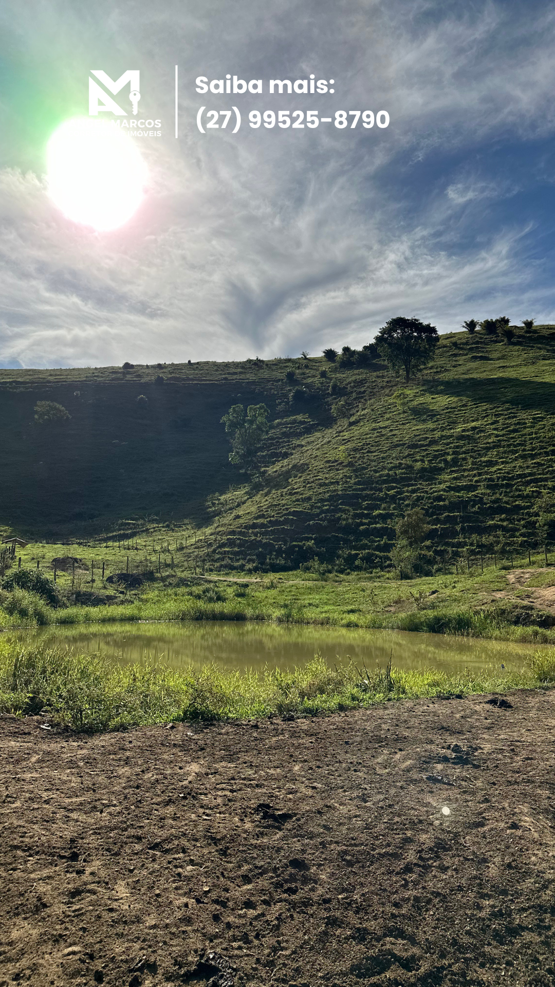 Imagem 20 da propriedade