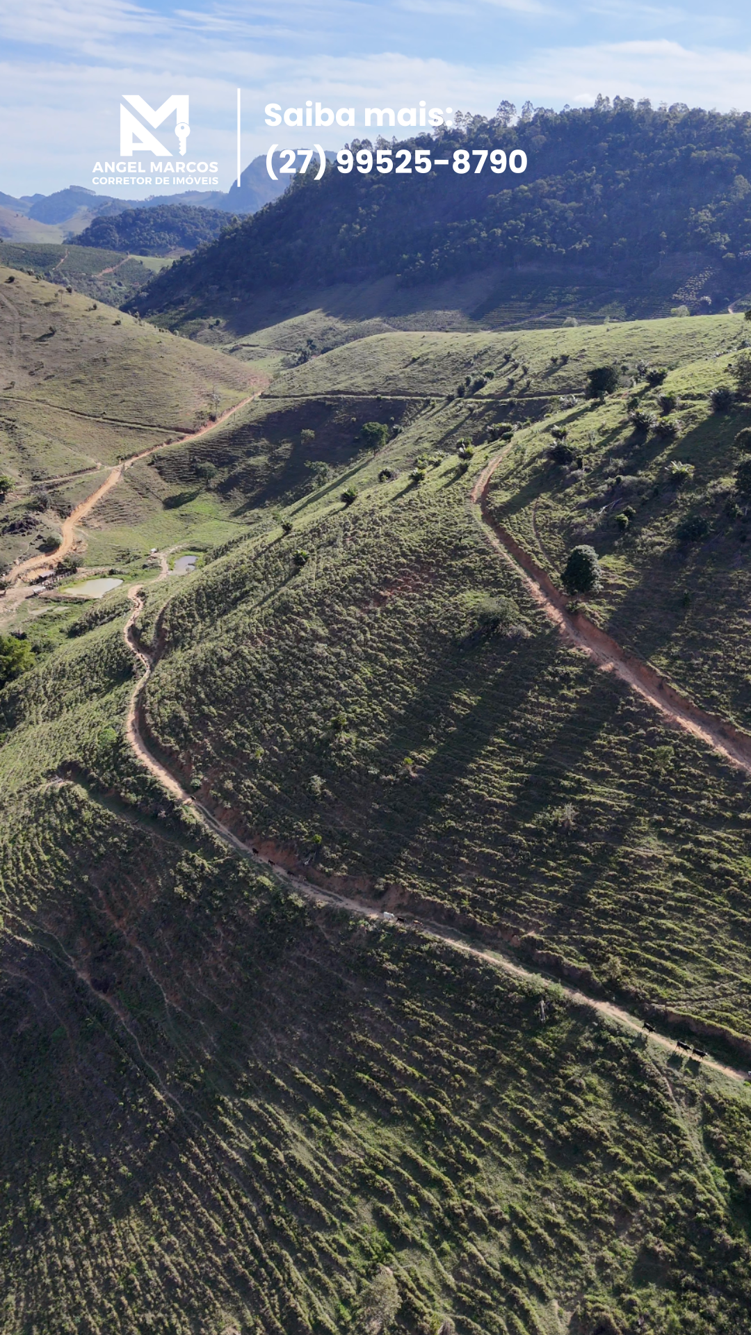 Imagem 2 da propriedade