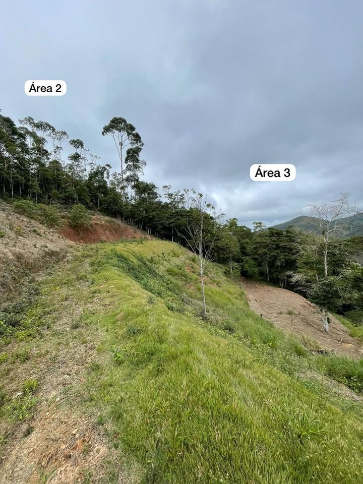 Imagem 2 da propriedade