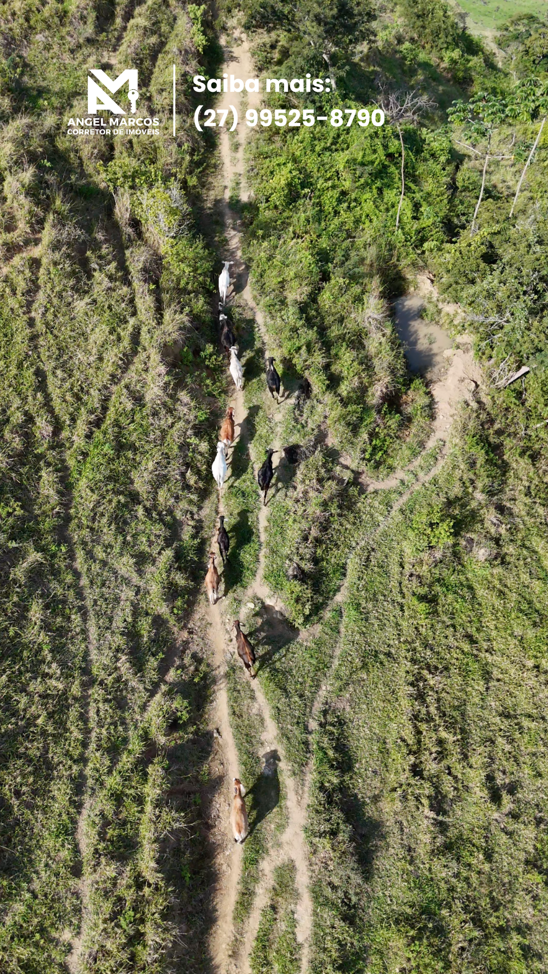 Imagem 4 da propriedade