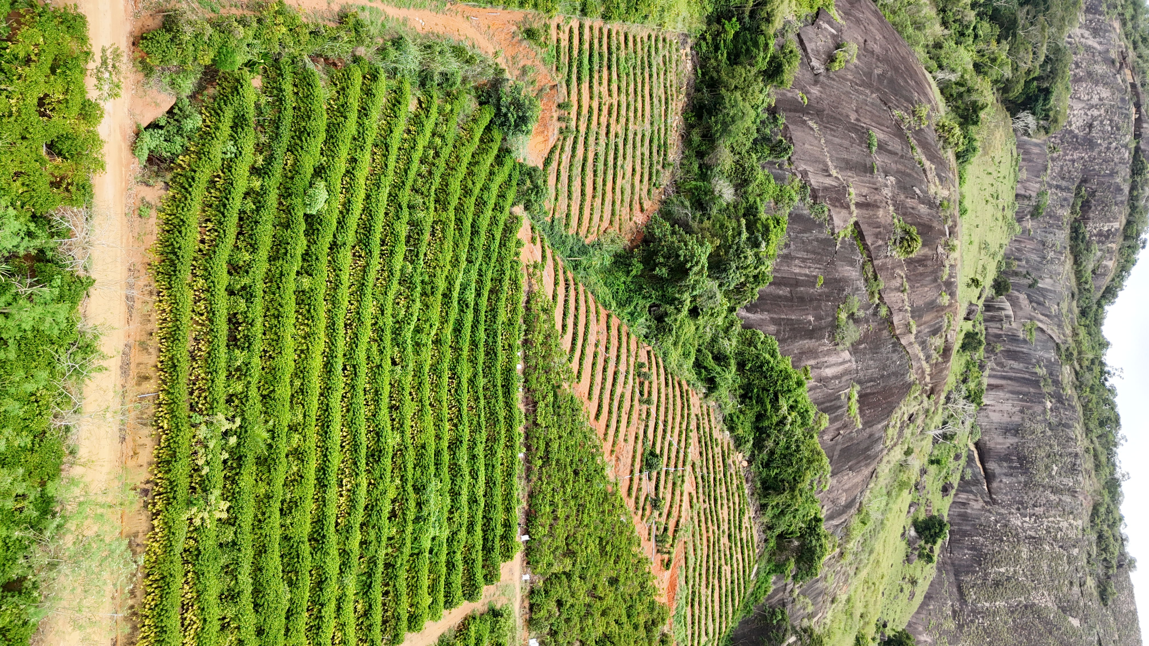 Imagem 3 da propriedade