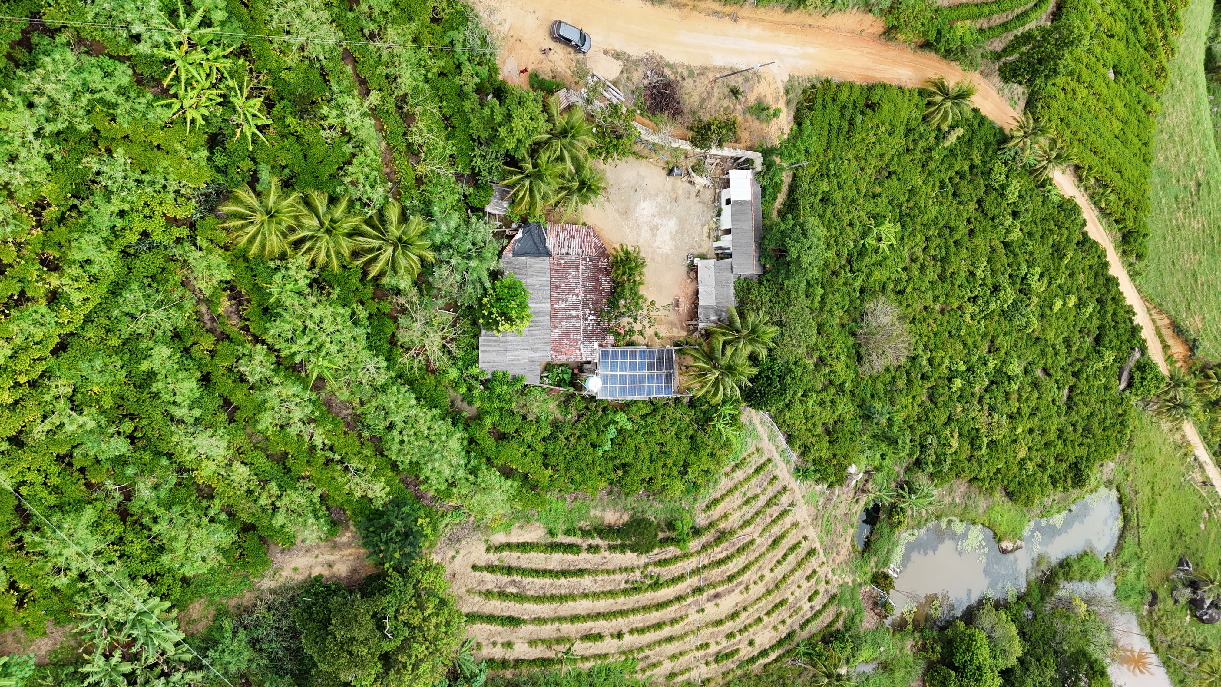 Imagem 4 da propriedade