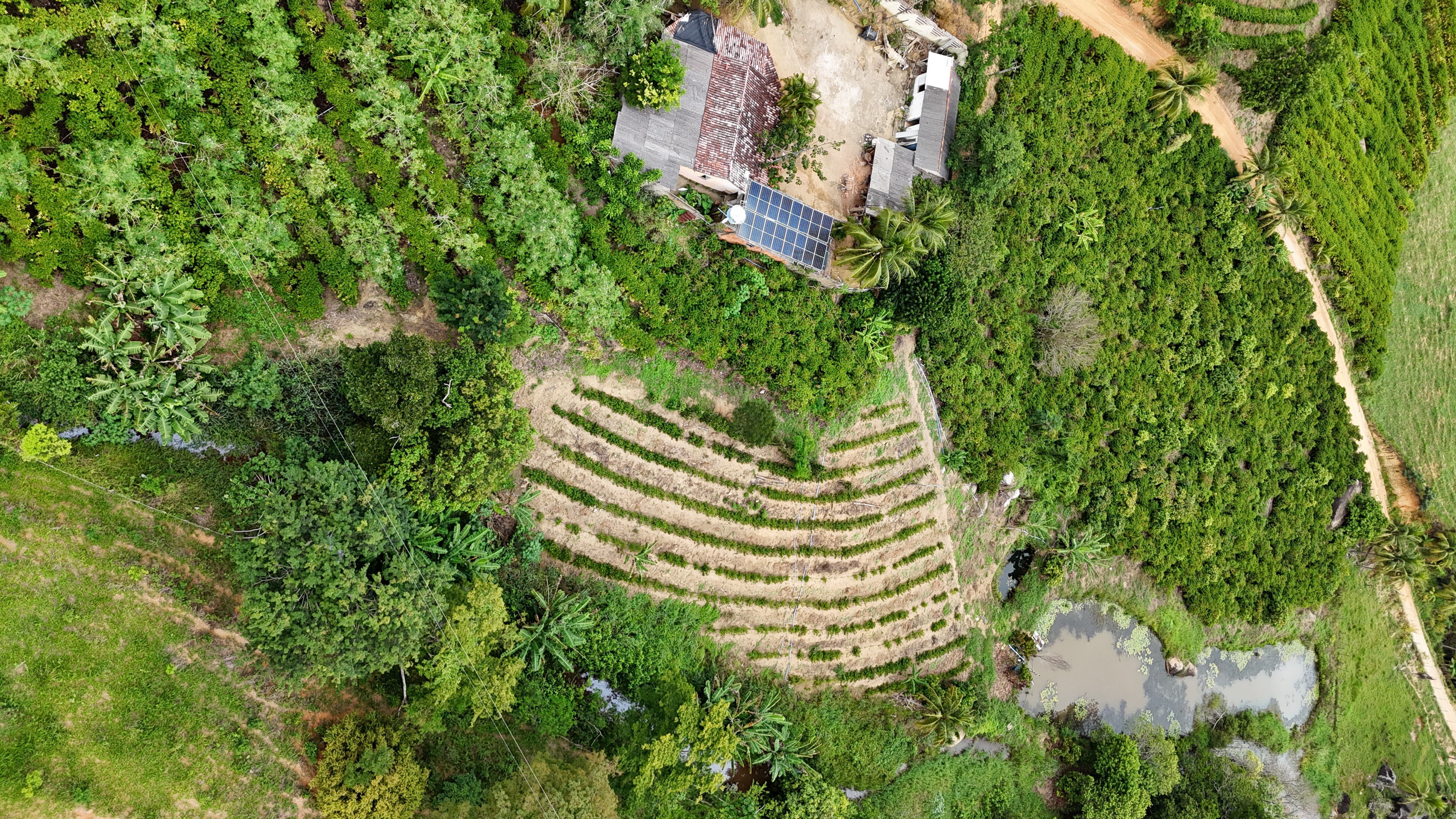 Imagem 5 da propriedade