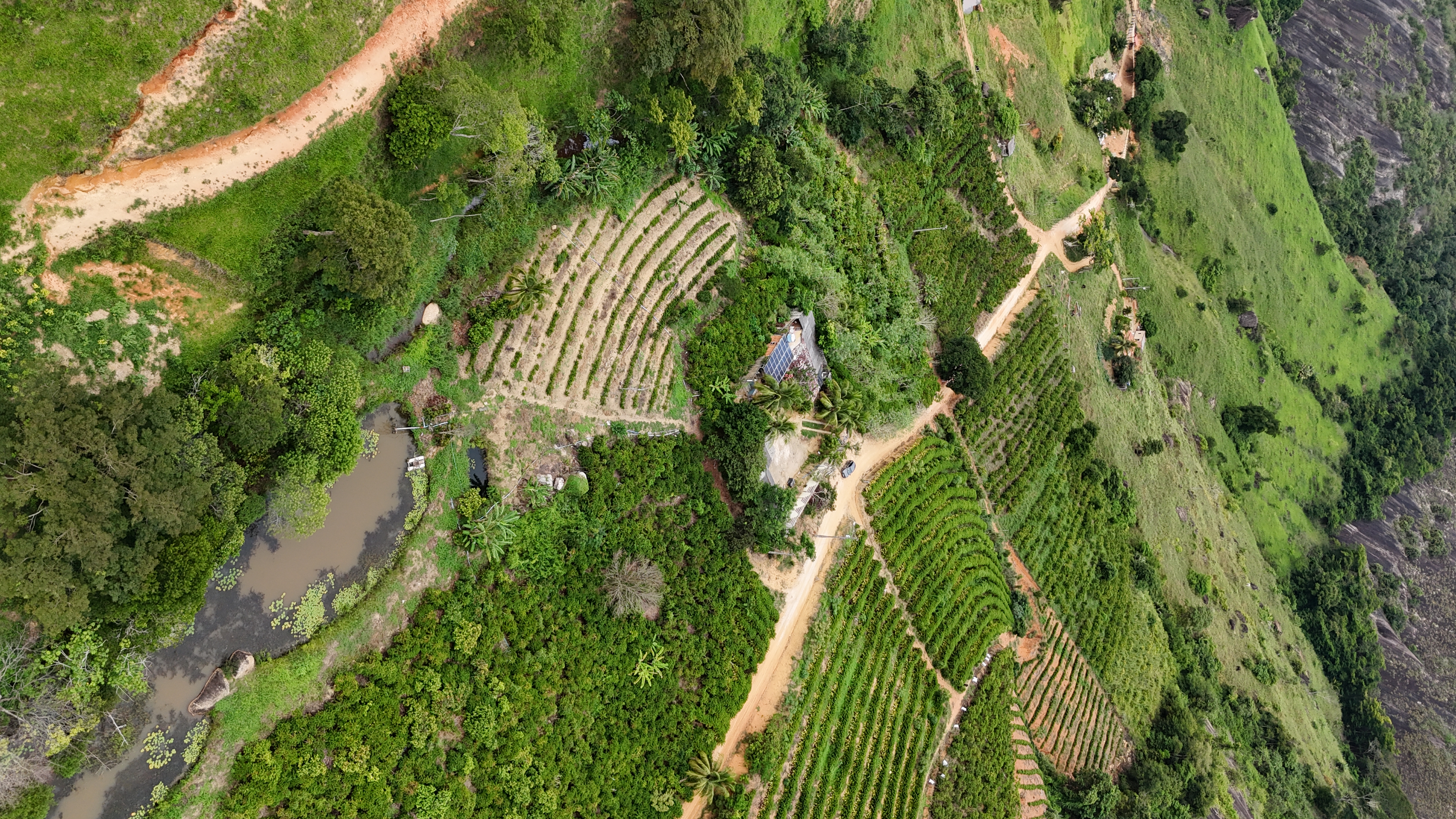 Imagem 7 da propriedade