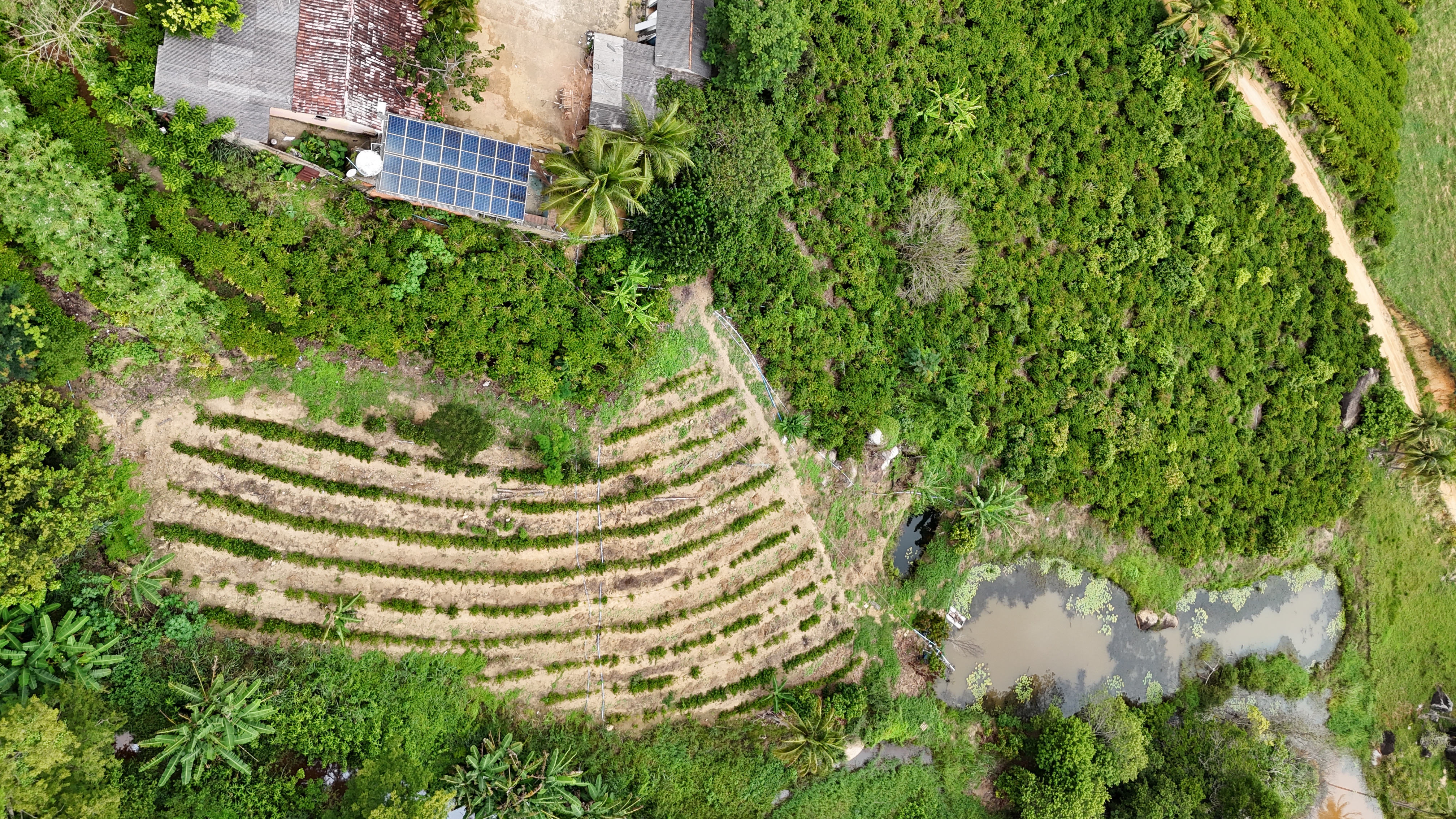 Imagem 10 da propriedade