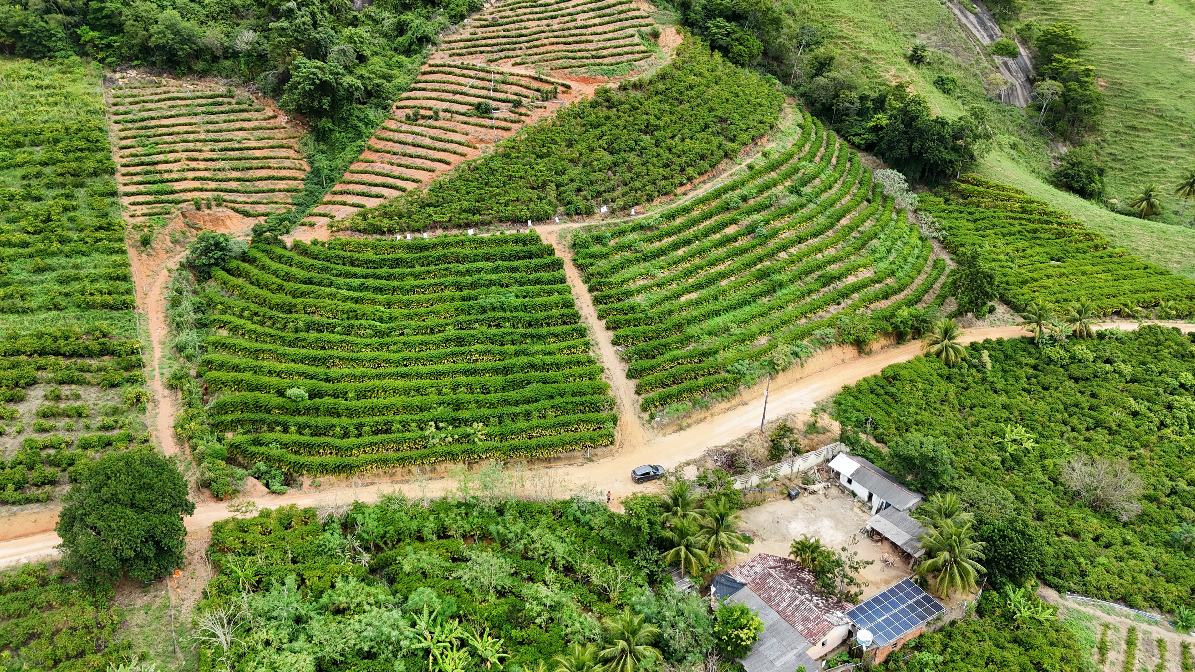 Imagem 11 da propriedade