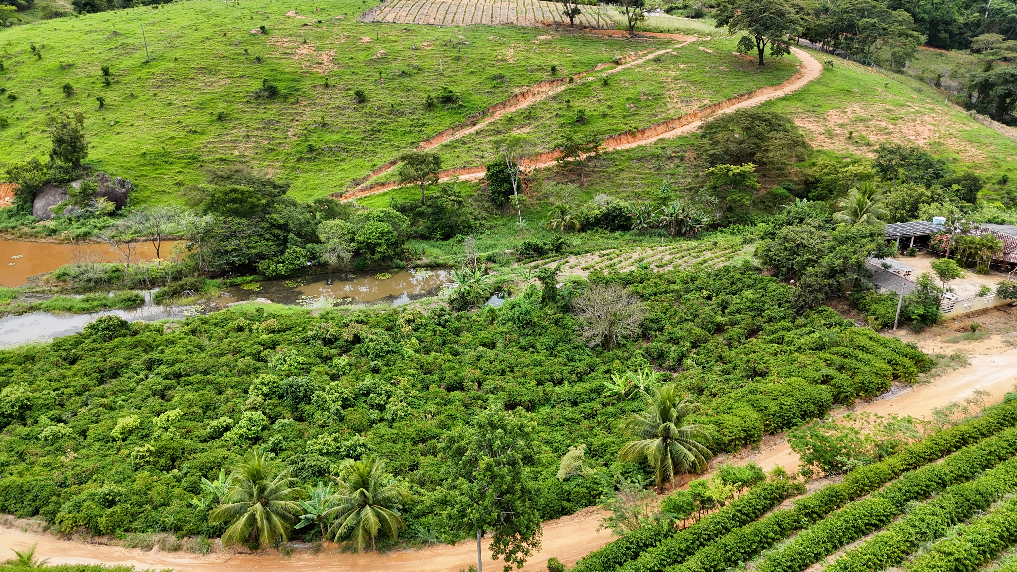 Imagem 14 da propriedade