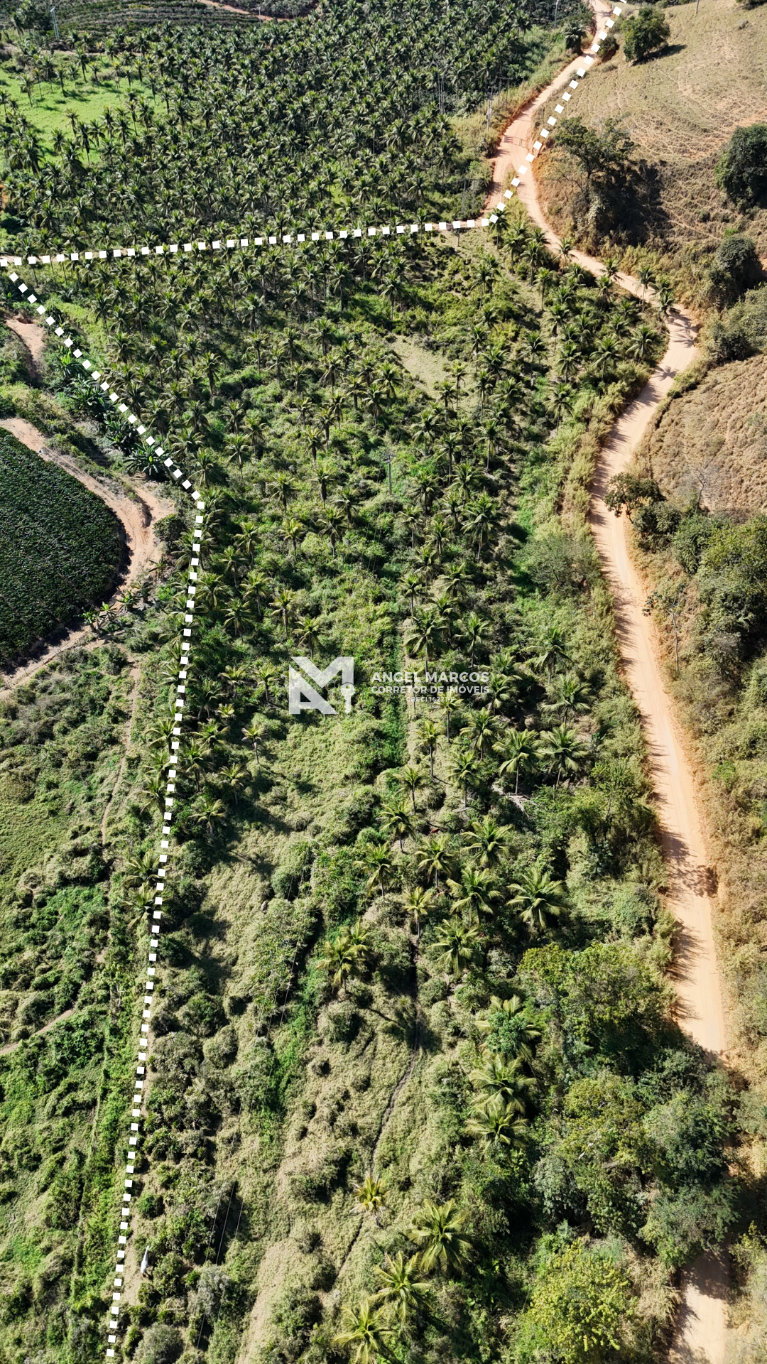 Imagem 3 da propriedade