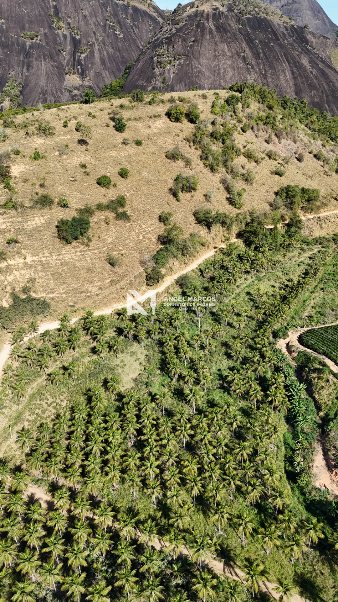 Imagem 9 da propriedade