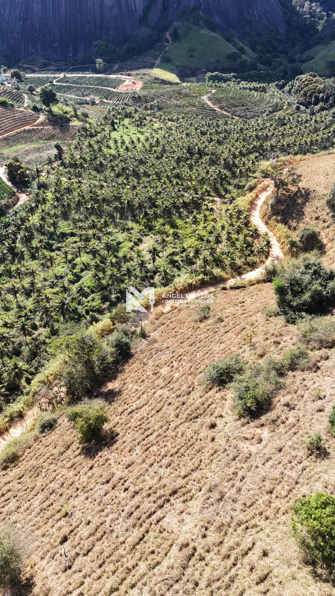 Imagem 14 da propriedade