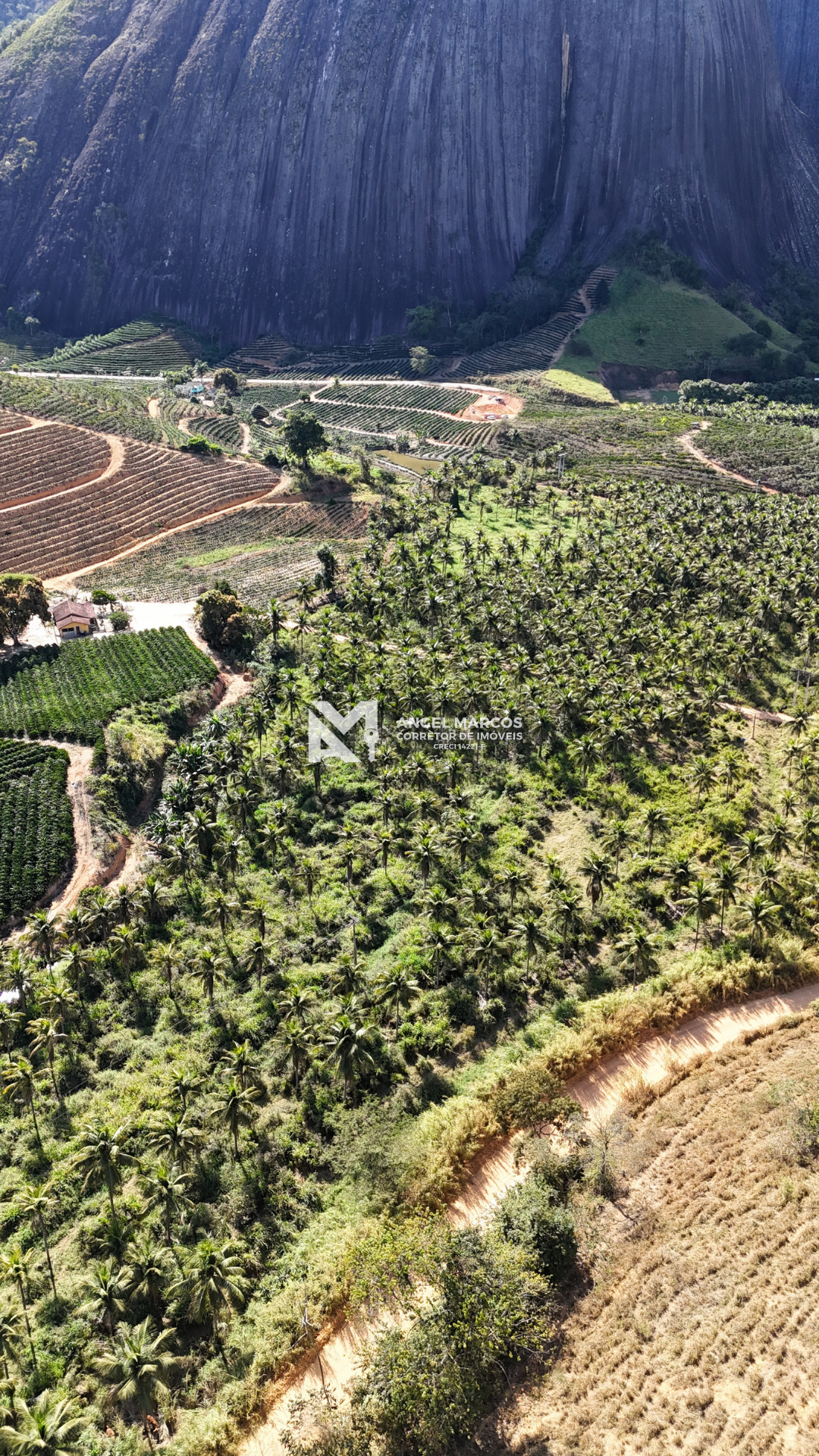 Imagem 15 da propriedade