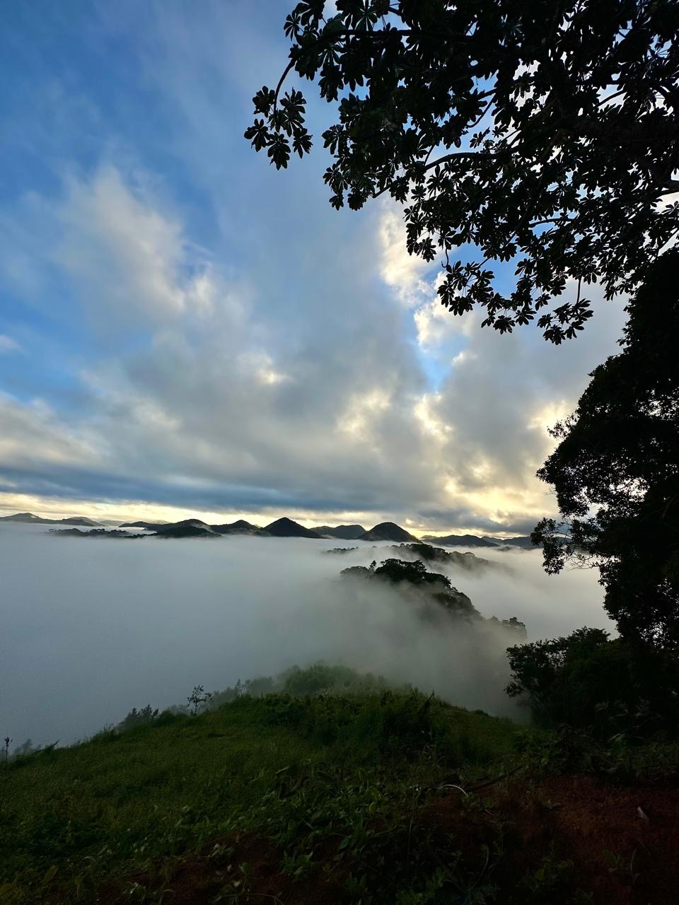 Um refúgio em Domingos Martins. 20 mil m2 