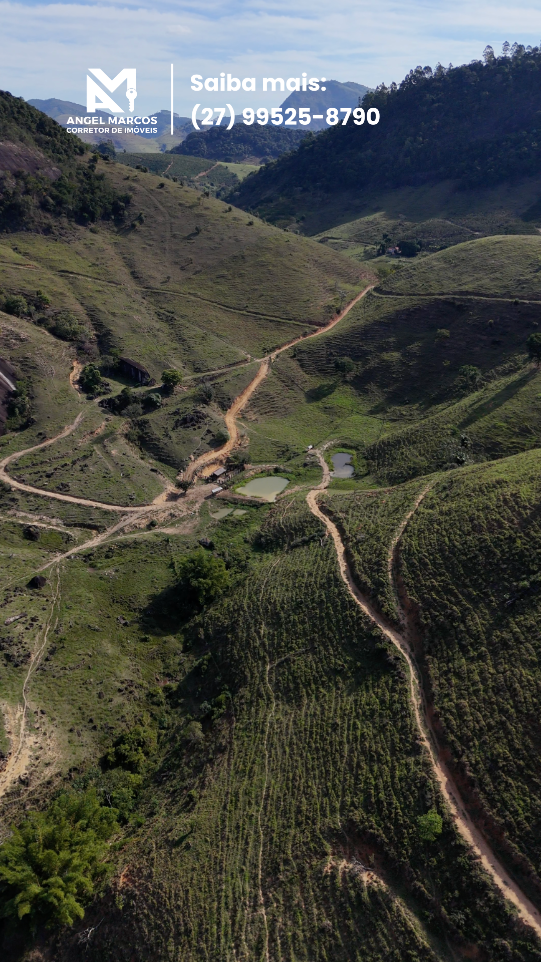 Imagem 6 da propriedade