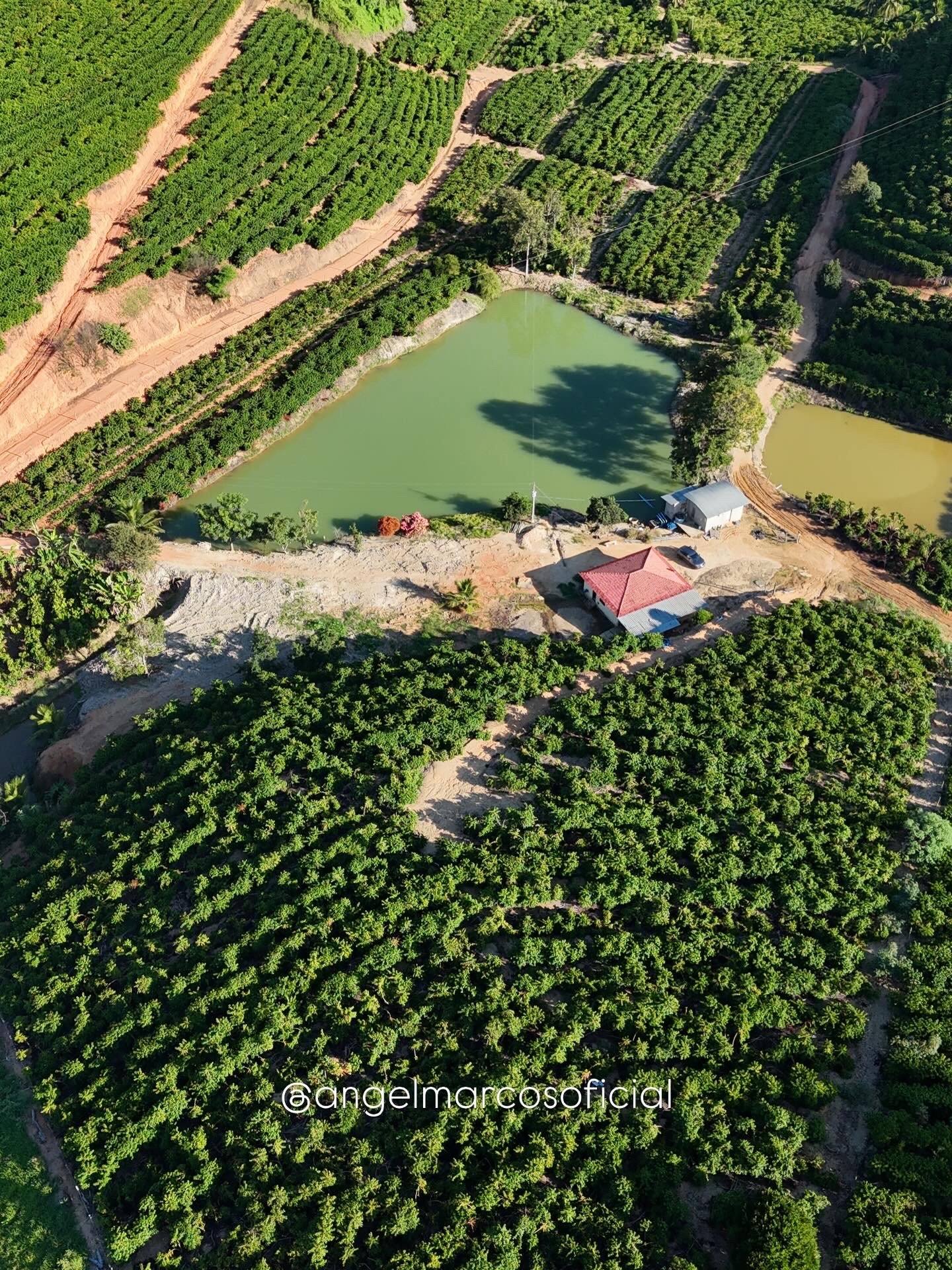 5,4 HECTARES EM GUARAREMA (NOVA VENECIA-ES)