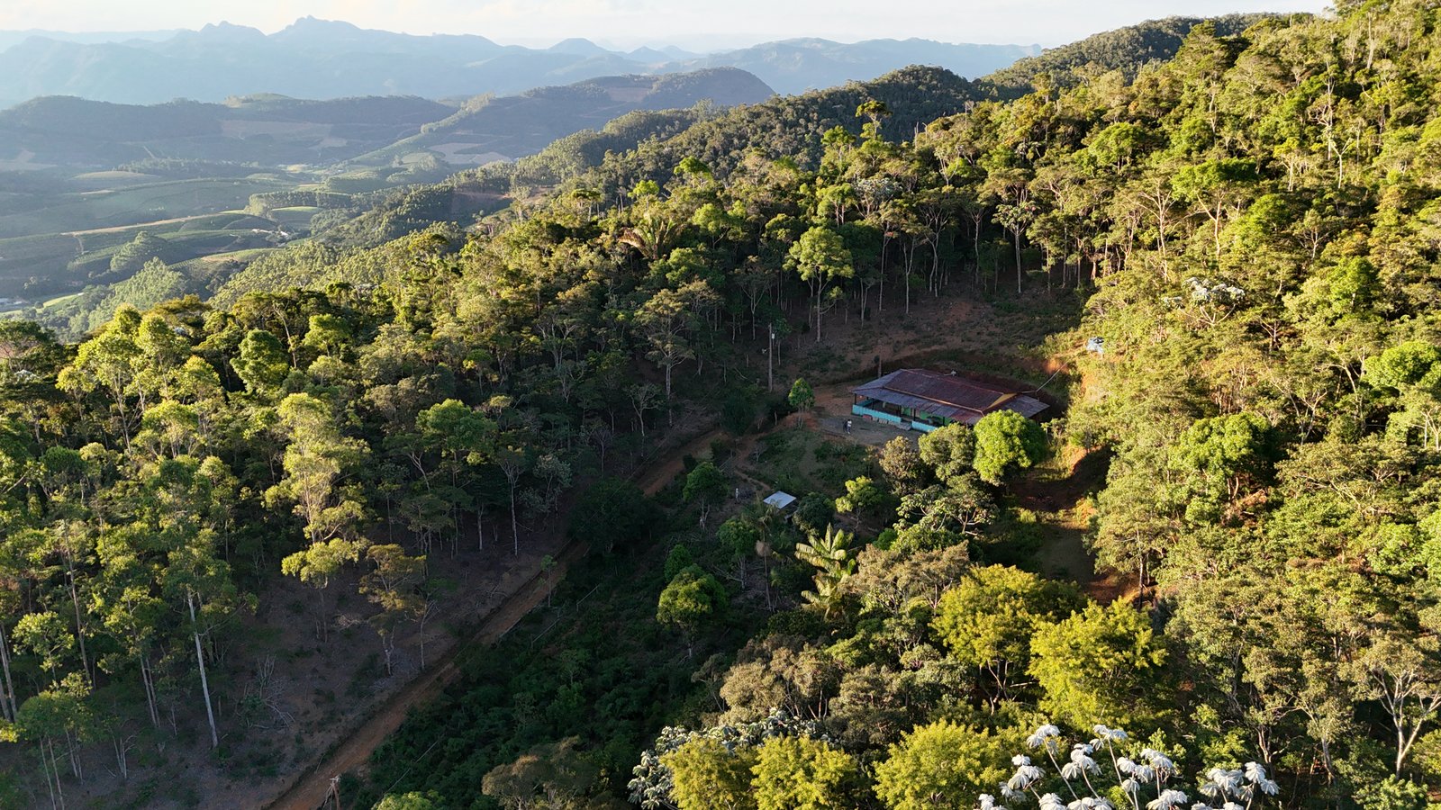 SÍTIO 3 HECTARES - SANTA TERESA