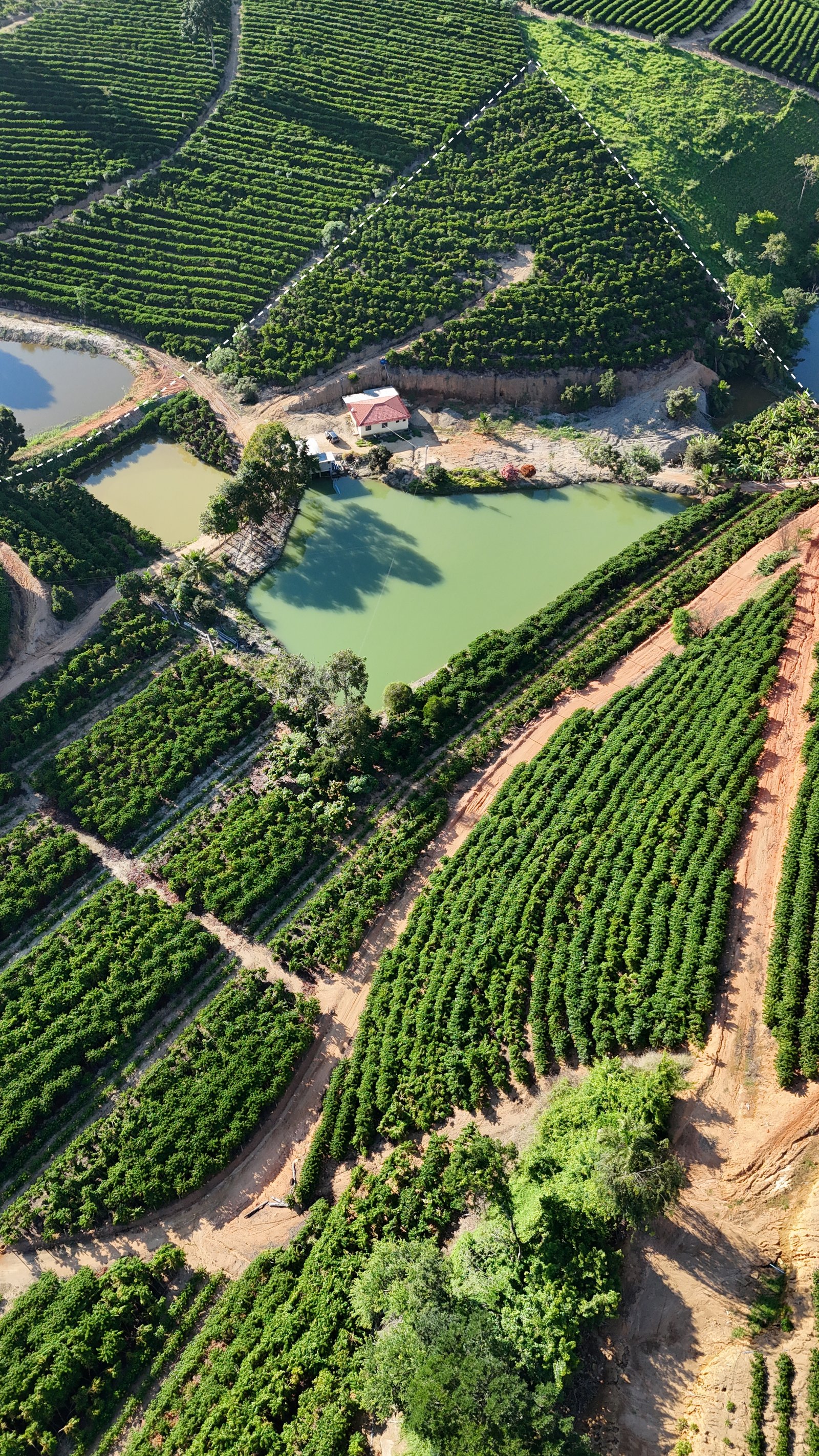 5,4 HECTARES EM GUARAREMA (NOVA VENECIA-ES)