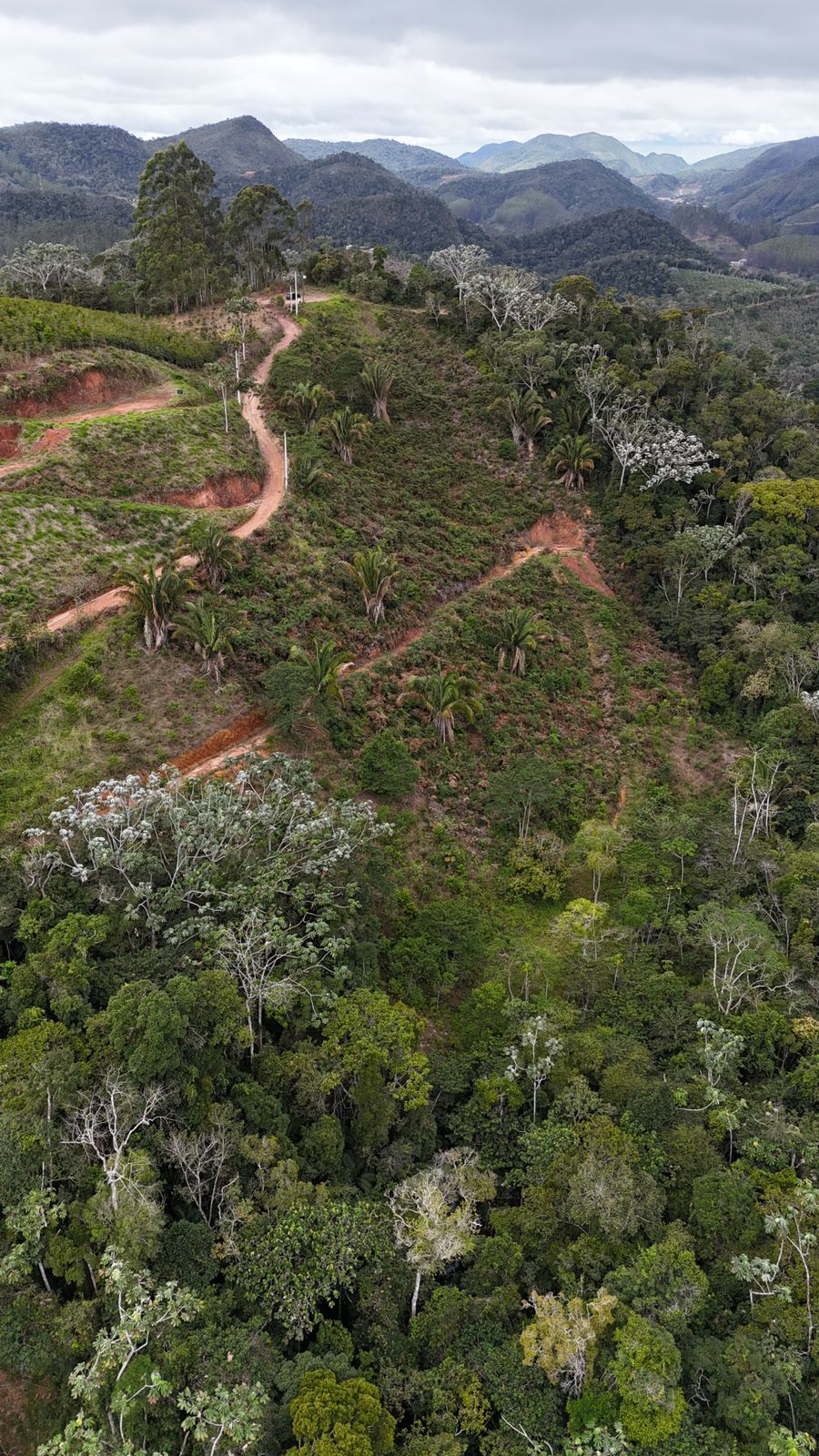 Imagem 10 da propriedade