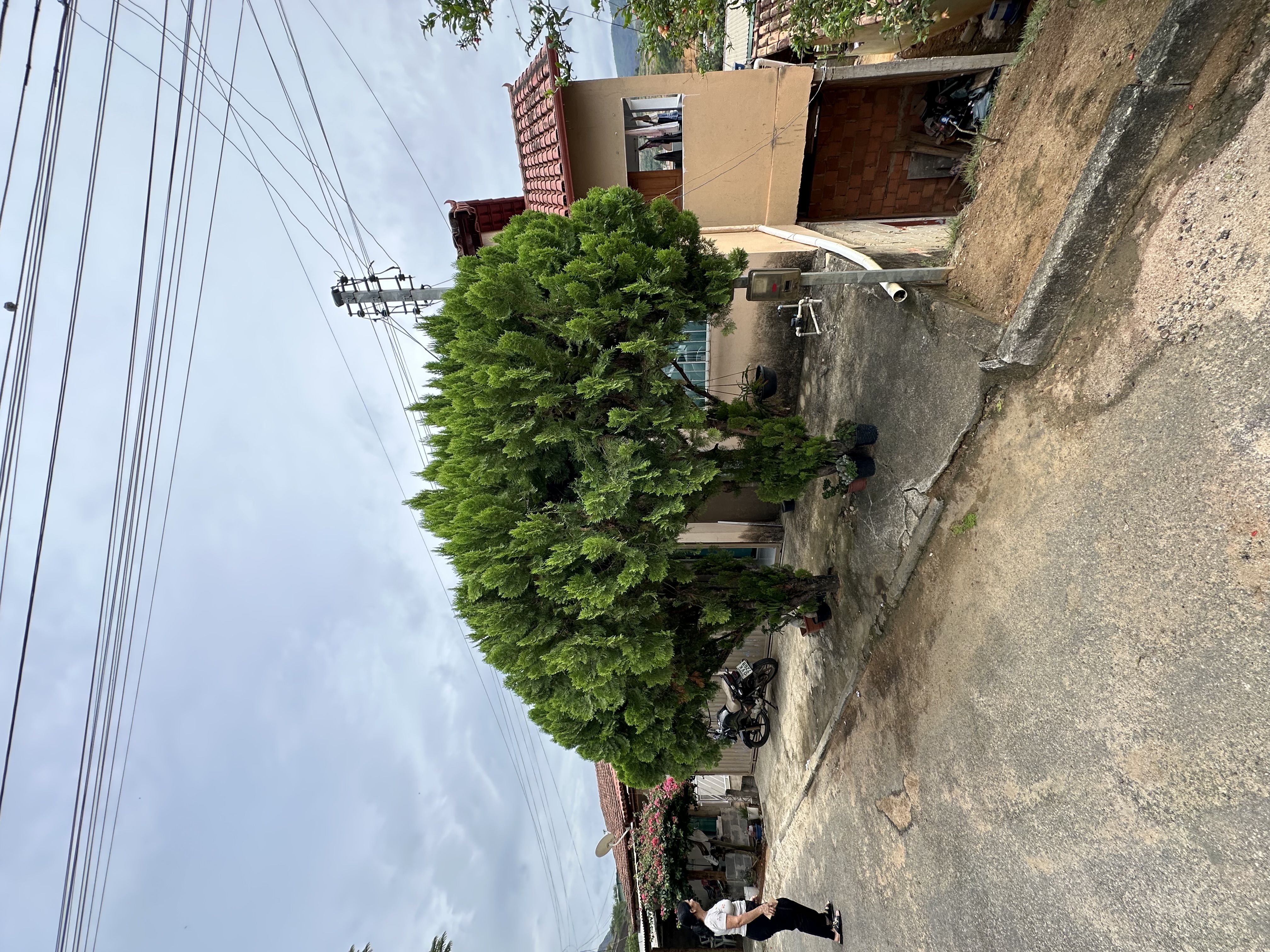 Imagem 3 da propriedade