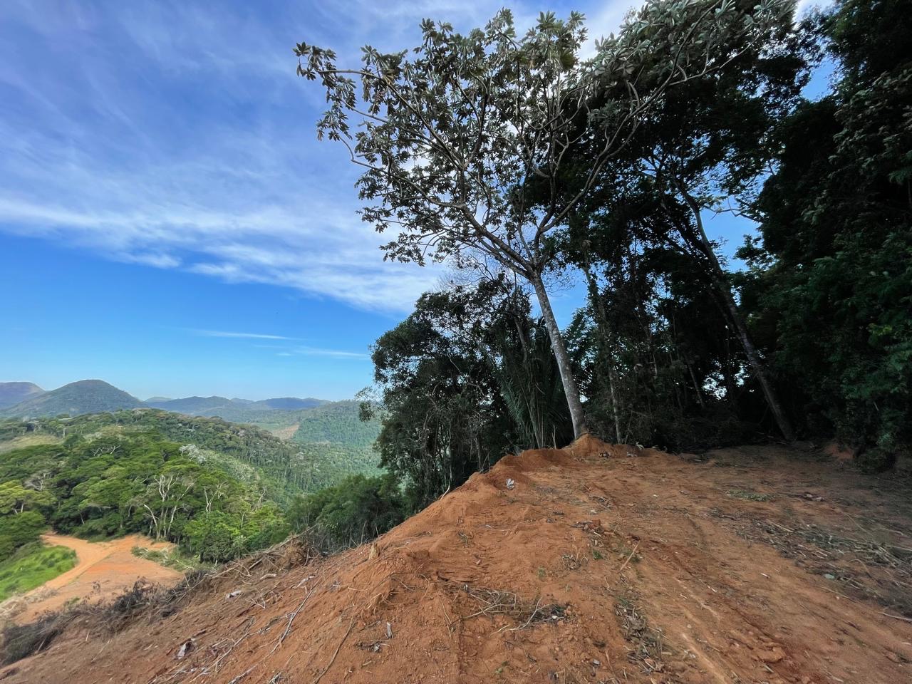 Imagem 3 da propriedade